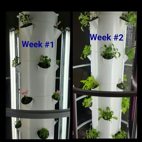 Aeroponic Tower Garden | Tower garden, Growing plants indoors, Growing food