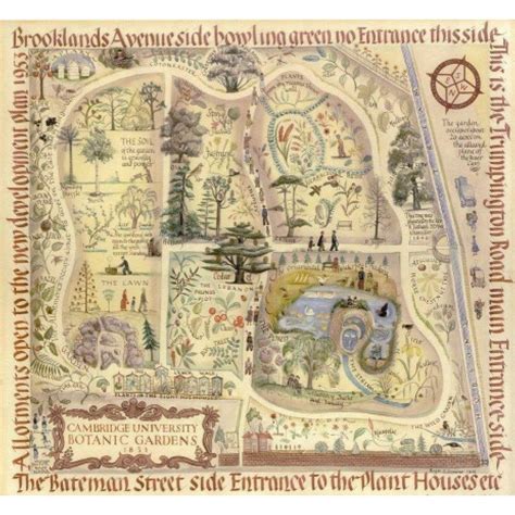 Map of Cambridge University Botanic Garden - Greetings card – Curating Cambridge