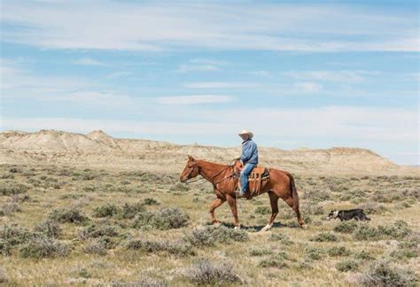 Wyoming Cowgirls Part 2 CavvySavvy.com - We Know Working Horses