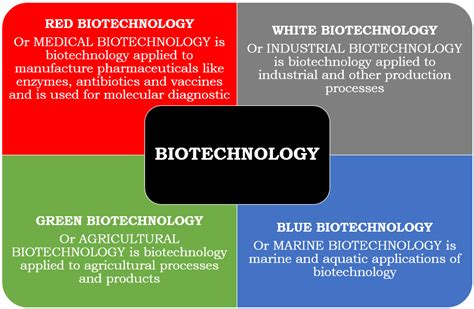 BIOTECHNOLOGY IN APPLICATION – blog site