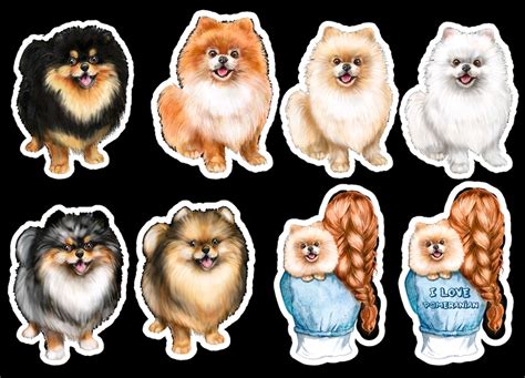 Pomeranian, Set of 24 Stickers, Sticker, Journal Sticker, Die Cut ...