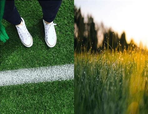 Turf vs Grass: Which is Better for Sports?