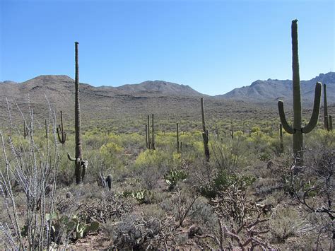 Mountains and Basins - Region of Texas