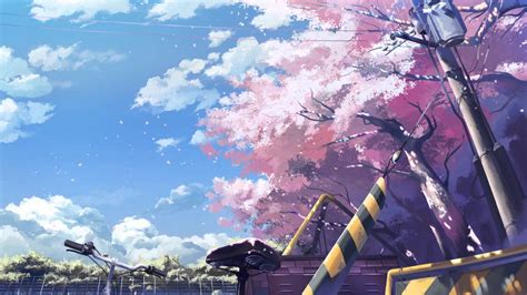 Anime Cherry Blossom Wallpapers - Top Những Hình Ảnh Đẹp