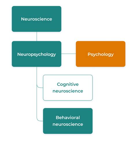 Behavioral neuroscience – degrees and careers - Degreechoices.com