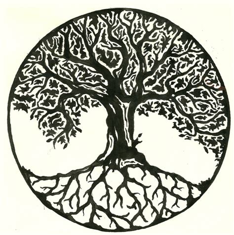 Celtic Tree Of Life Drawing at GetDrawings | Free download