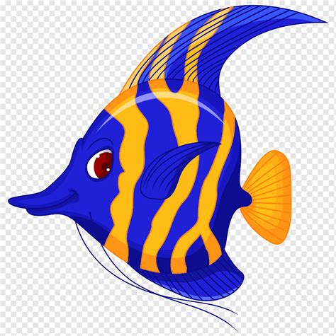 Angelfish Cartoon, One fish, seafood, orange, fauna png | PNGWing