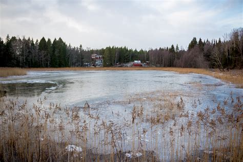 25 Enchanting Photos of Sweden in Winter - The Sweetest Way