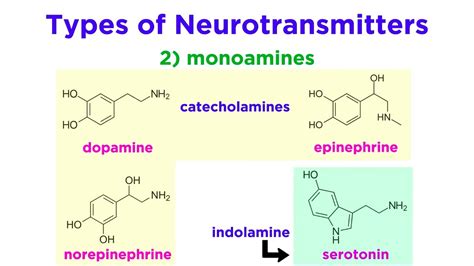 Neurotransmitters: Type, Structure, and Function - YouTube