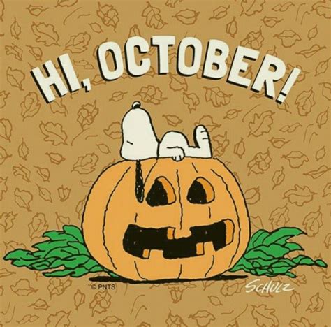 Hello October Snoopy Wallpapers - Top Free Hello October Snoopy Backgrounds - WallpaperAccess