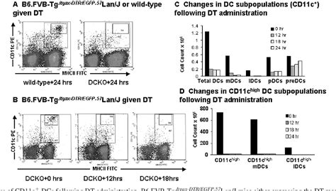 Figure 1 from CD11c+ Dendritic Cells Are Required for Survival in Murine Polymicrobial Sepsis1 ...