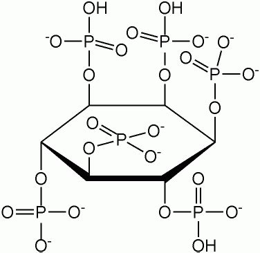 Phytase