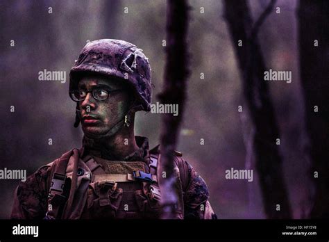 Marines patrol through the forest of Camp Geiger, N.C. during patrol ...