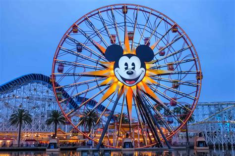 Mickey's Fun Wheel Ride: Things You Need to Know