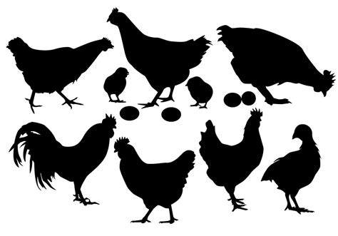 Chicken silhouette vector 98957 Vector Art at Vecteezy