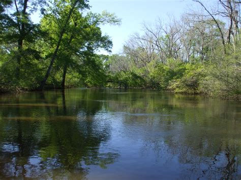 Neches River - Texas Rivers Protection Association