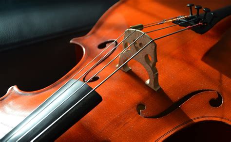 15 cello tips for beginners | Stars & Catz