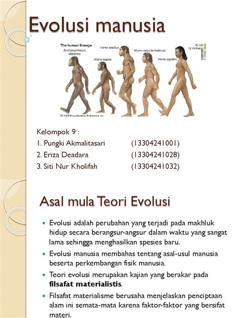 Evolusi Manusia | PDF