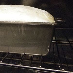 A Warm Oven Helps Your Bread Dough to Rise | No-Knead Bread Blog