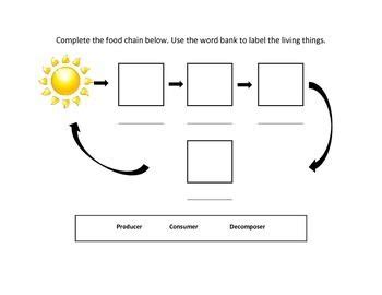 Food Chain Diagram Blank