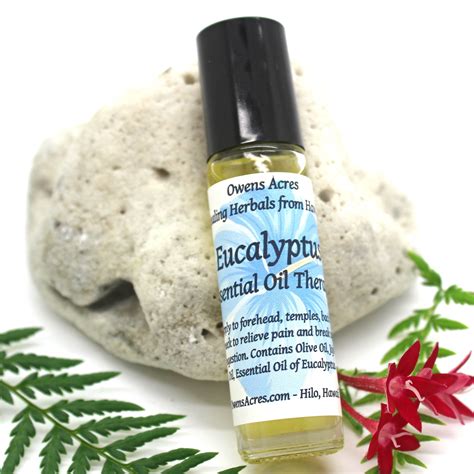 EUCALYPTUS Essential Oil Blend / Oil Therapy for Chest - Etsy