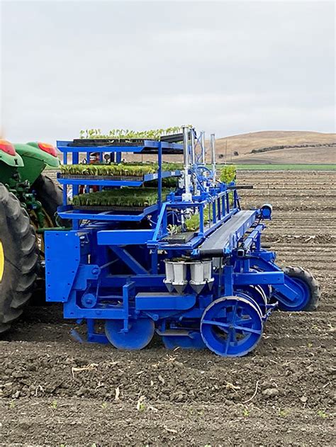 Growers Transplanting Inc | The Ag Industry's Leading Seedling & Transplanting Company