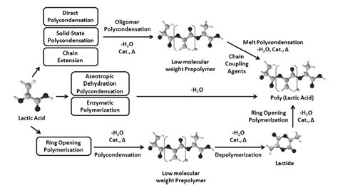 Synthesis methods for Poly(Lactic Acid) [28] | Download Scientific Diagram