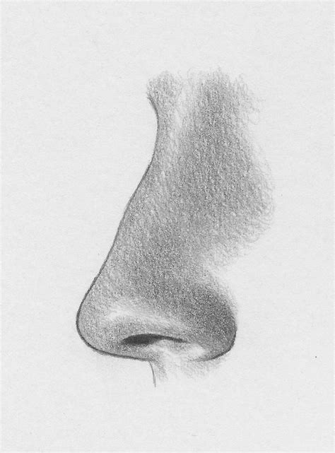 How to Draw the Nose - Profile View | RapidFireArt