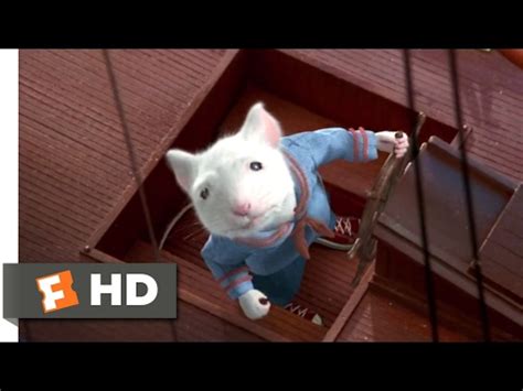 Stuart Little (1999) - Boat Race Scene (5/10) | Movieclips - YouTube