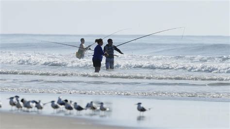 √ Recreational Fishing Queensland Covid