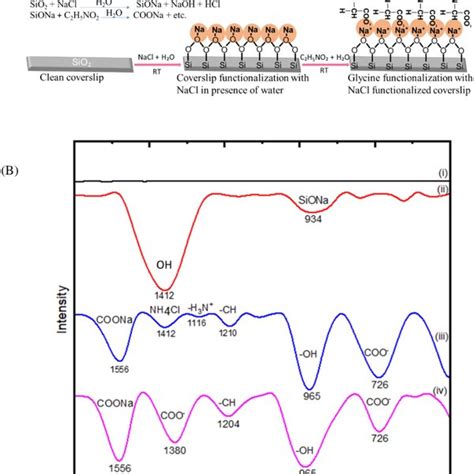 A, Schematically illustrated glycine functionalization steps and (B)... | Download Scientific ...