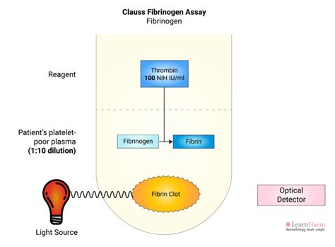 Clauss Fibrinogen Assay - LearnHaem | Haematology Made Simple