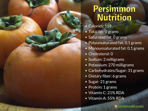 Fuyu Persimmons - the Best Tasting Persimmons to Grow - GardensAll