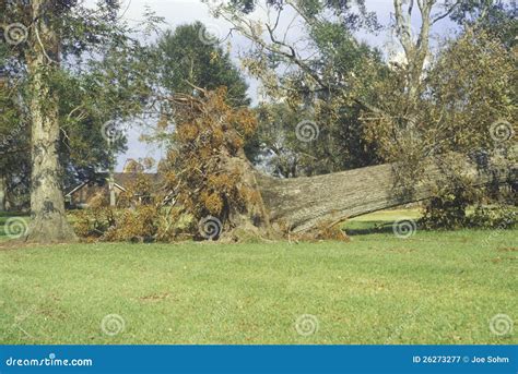 Hurricane Andrew damage editorial photography. Image of disaster - 26273277