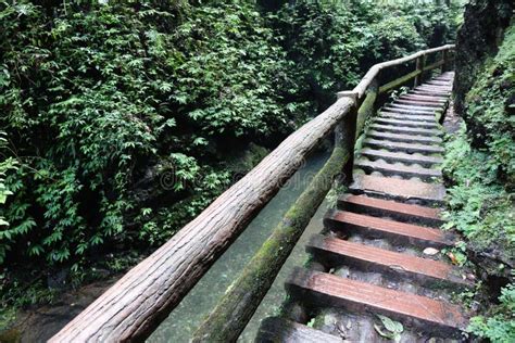 Wooden footbridge stock photo. Image of angle, designer - 18609712