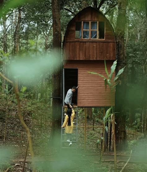 Tree house, Wayanad : r/IncredibleIndia