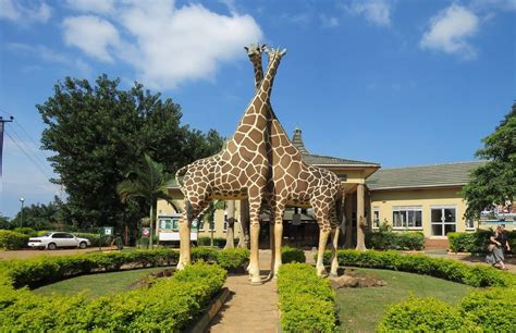 Top 5 places to visit in Entebbe, Uganda. | Primate World Safaris