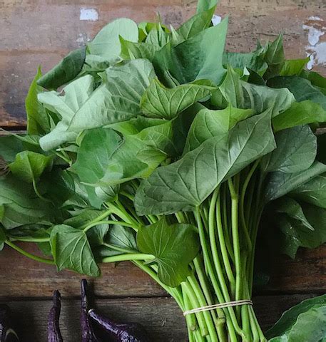 Sweet Potato Greens - Transplanting Traditions Community Farm