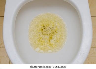 Urine Flush Toilet Foto de stock 316803623 | Shutterstock