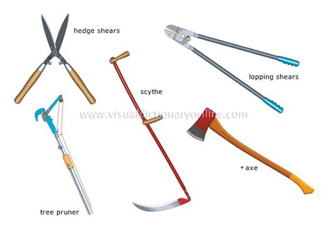 PLANTS & GARDENING :: GARDENING :: PRUNING AND CUTTING TOOLS [1] image - Visual Dictionary Online