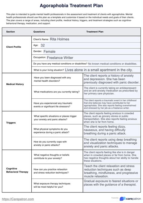 Agoraphobia Treatment Plan & Example | Free PDF Download