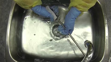 Rigid Endoscope Reprocessing - Cleaning & Rinsing - YouTube