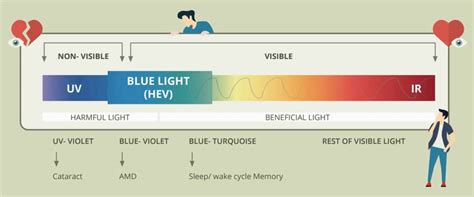 Blue Light Filters & Eye Strain - What You Need to Know - ViewSonic Library