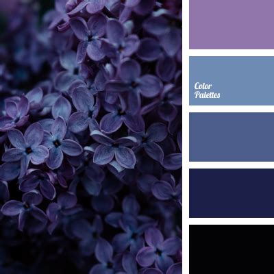 midnight blue | Color Palette Ideas