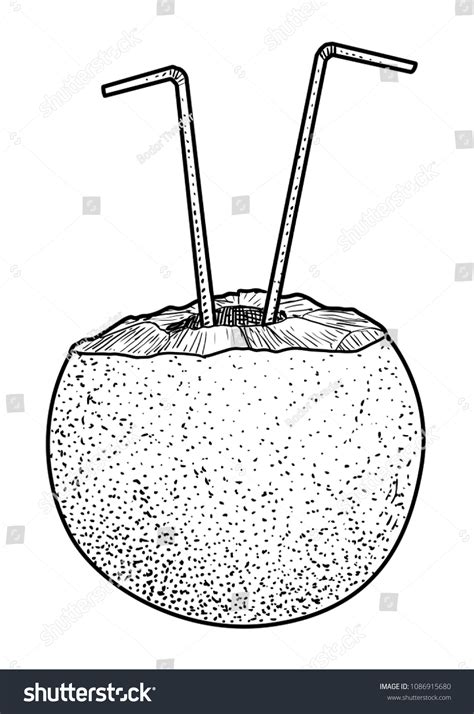 Coconut Straw Illustration Drawing Engraving Ink Stock Vector (Royalty Free) 1086915680 ...