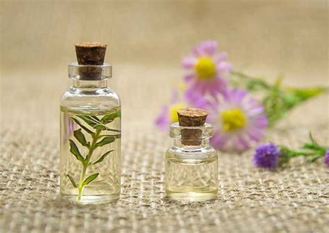 The Quick Guide to Natural vs. Synthetic Fragrances