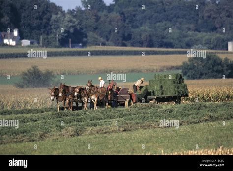 Amish farming equipment hi-res stock photography and images - Alamy