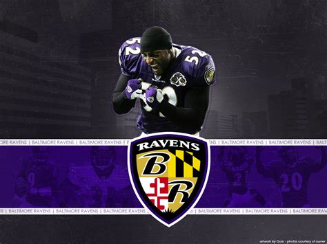 NFL Wallpapers: Ray Lewis - Baltimore Ravens