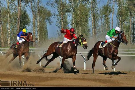 National horse-racing tournament in northeast