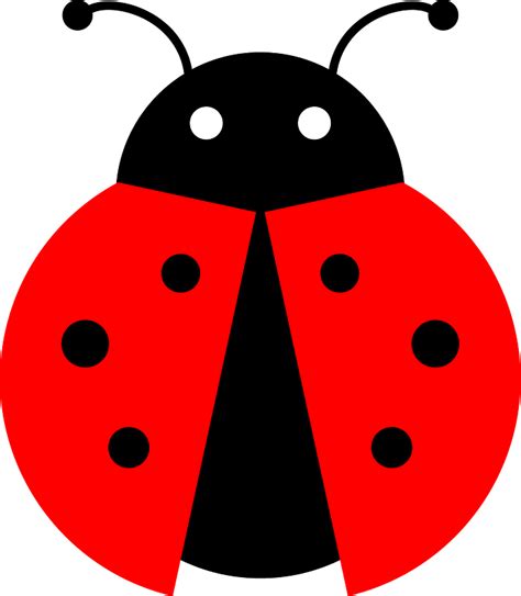 Flying ladybug clipart. Free download transparent .PNG | Creazilla